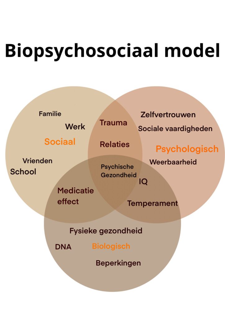 Biopsychosociaal model – Sterk in Stilte